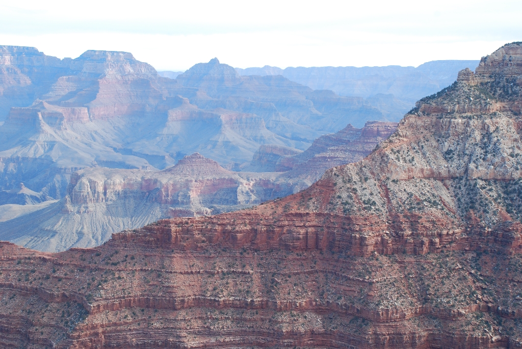 DSC_1662.JPG
